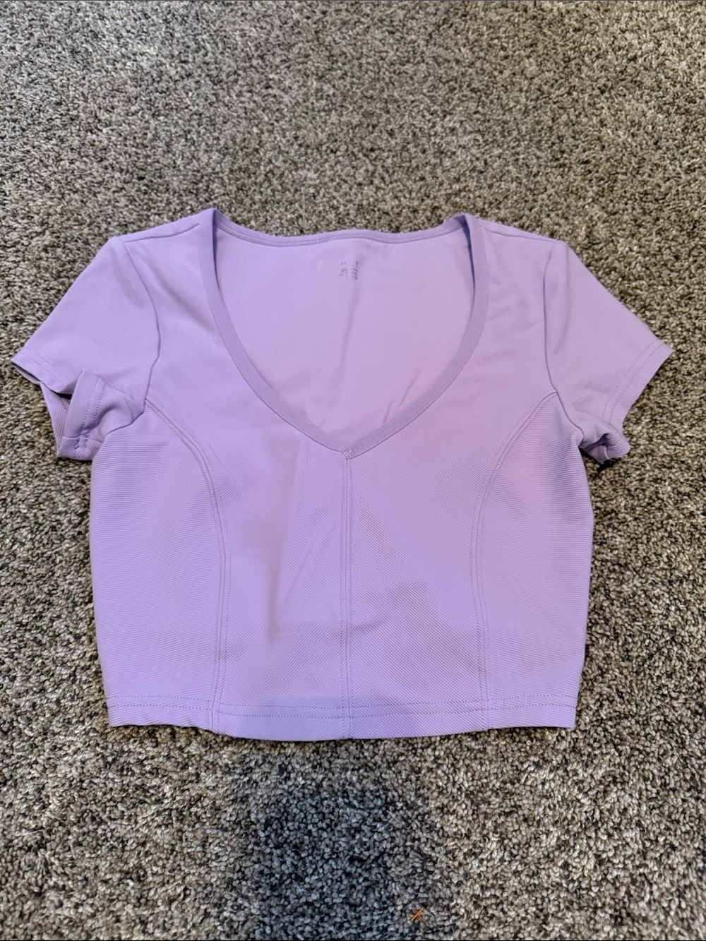 Lilac V-Neck Short Sleeve Crop Top - Women offline by Aerie